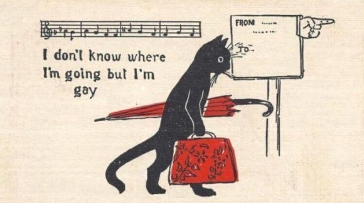A black cat going to the right a suitcase and umbrella in hand, it follows a sign with a pointing finger. Over the cat it reads I don't know where I am going, but I am gay. Over that are some musical notes